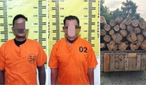 Dua Pelaku Penebangan Liar di Hutan Ngubalan Ditangkap Polsek Ngunut