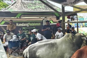 Didik Girnoto Yekti Cawabup Tulungagung Nomor 3 Ikut Kontes Sapi Tingkat Nasional, Ternyata Punya Latarbelakang Peternak