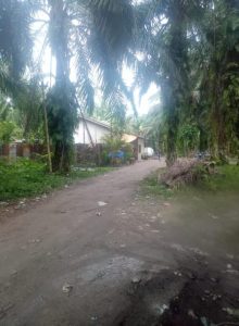 Warga Resah dan Takut, Peredaran Sabu Marak di Kec. Bilah Hulu