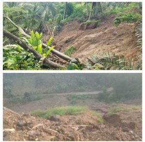 Pro dan Kontra Dampak Pembangunan Jalan Lintas Selatan di Desa Ngrejo, Tulungagung