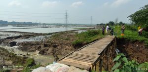 Dinas Pertanian Berikan 43,8 Ton Benih Untuk Petani Terdampak Banjir