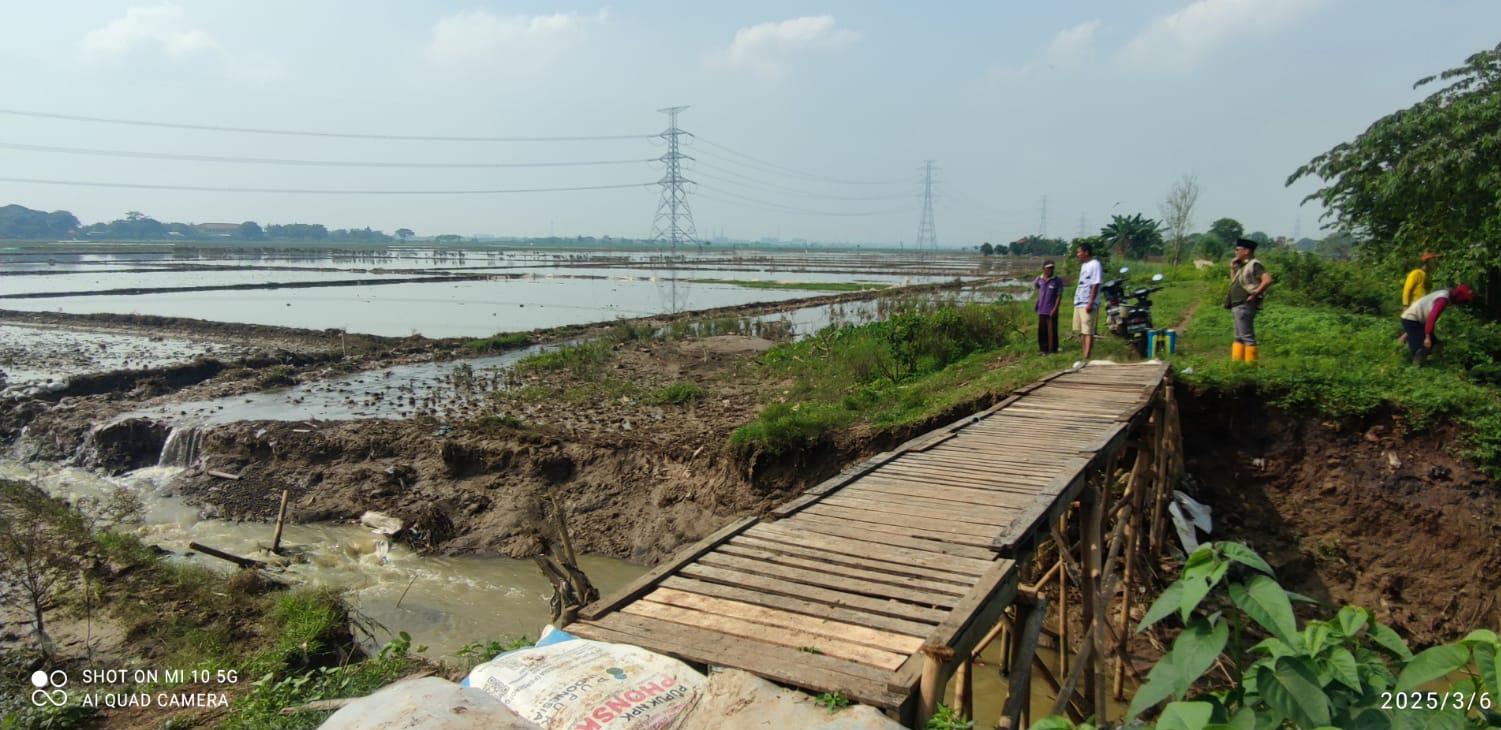 Dinas Pertanian Berikan 43,8 Ton Benih Untuk Petani Terdampak Banjir