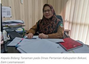 Dinas Pertanian Salurkan 43,8 Ton Benih Untuk Petani Terdampak Banjir