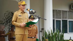 Bupati Langkat Tekankan Peran Strategis Posyandu dalam Pembangunan Kesehatan Masyarakat