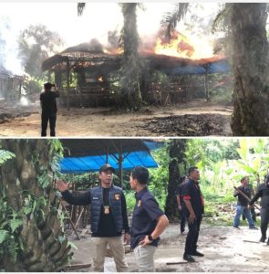 Lapak Sabung Ayam Pancur Batu Digrebek Polrestabes Medan dan Denpom 1/5