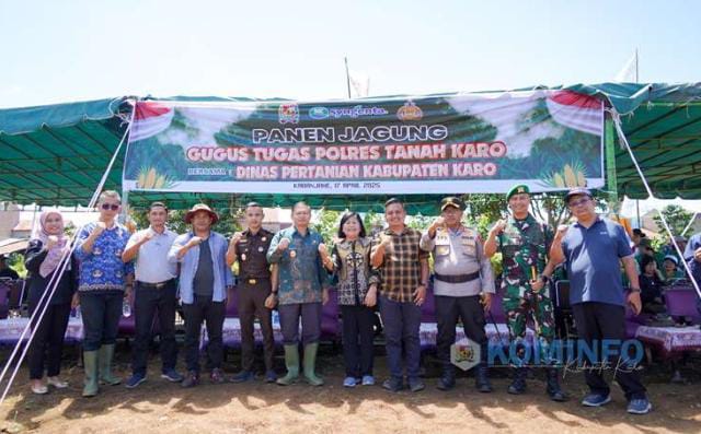Dukung Ketahanan Pangan, Wabup Karo bersama Forkopimda Panen Jagung