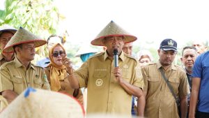 Bupati Syah Afandin Dorong Kemandirian Benih Padi di Langkat