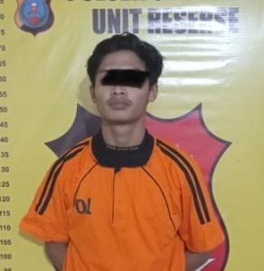 Asik Curi Sawit Milik PT, Pelaku Diciduk Polisi