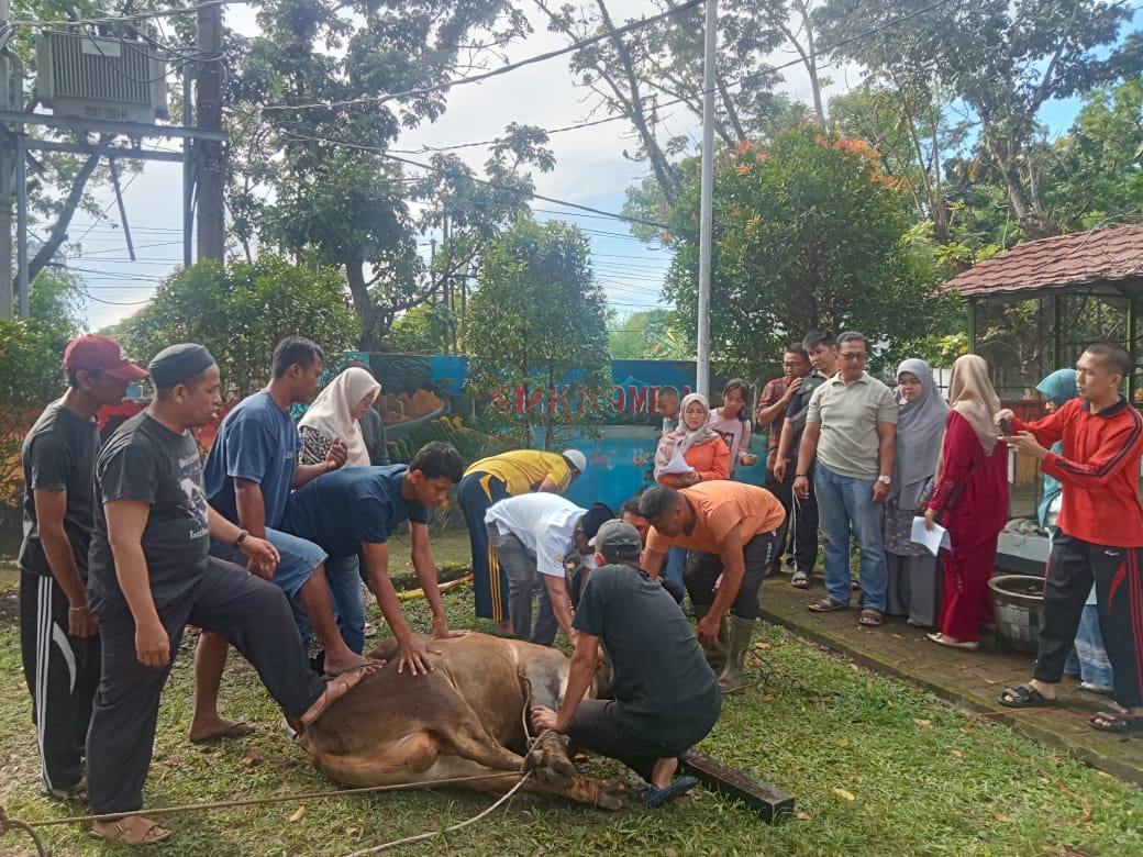 ‎SMKN 9 Medan Kurban 2 Ekor Sapi dan 1 Ekor Kambing