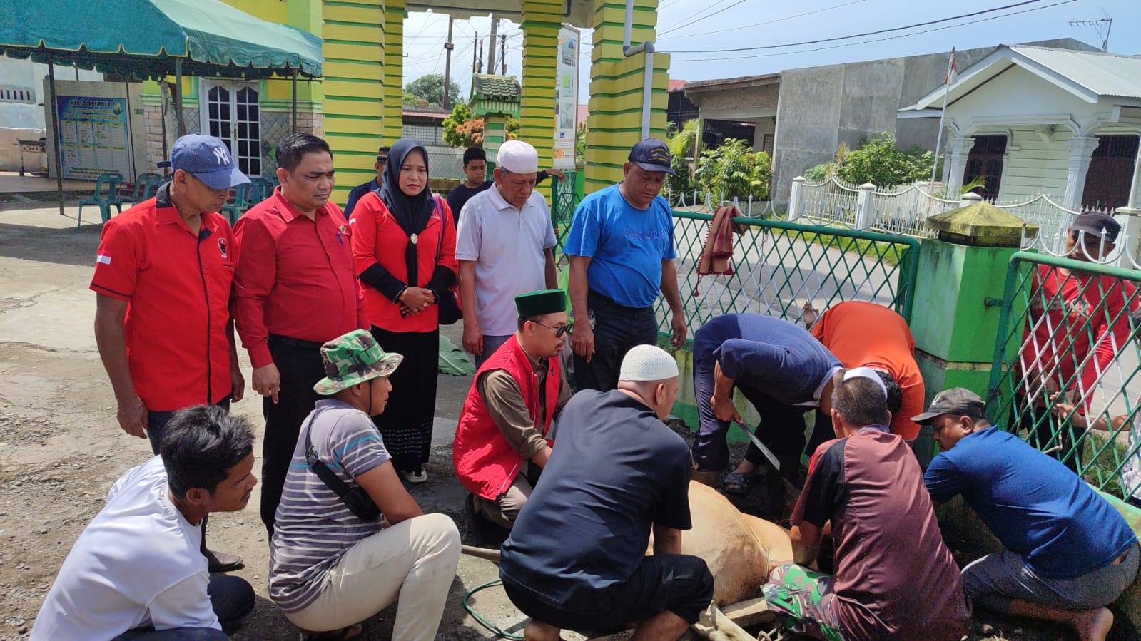 ‎PAC PDI Perjuangan Medan Labuhan Kurban Lembu ‎