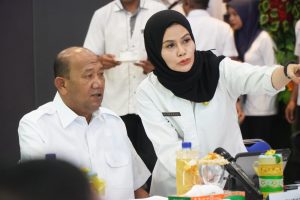 Bupati Langkat Syah Afandin Tampilkan Inovasi TPAKD di Forum Nasional OJK
