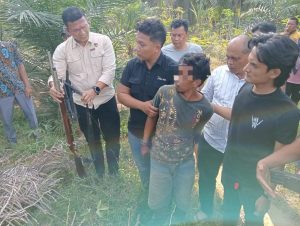 Respons Cepat Polres Labusel, Pelaku Pembunuhan Penjaga Kebun Sawit Ditangkap