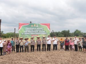 Polres Binjai Bersama Masyarakat Payaroba Laksanakan Penanaman Jagung