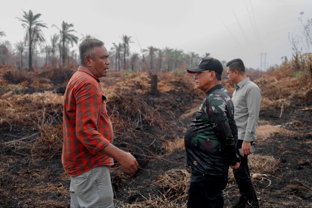 Pasca Hujan, Bupati Rohil Tinjau Lokasi Karhutla Di Kecamatan Kubu