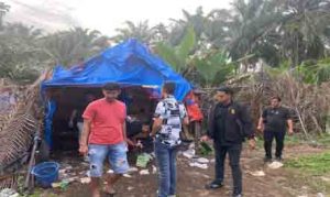 Polres Binjai Kembali Grebek dan Musnahkan Barak Narkoba di Sei Bingai