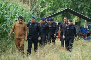 Brimob Polda Sumut Panen Raya Bersama Petani