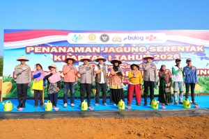 Penanaman jagung serentak Kwartal 1 Tahun 2026 Polda Sumut, Dukung Ketahanan Pangan Nasional