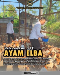 Perkuat Ketahanan Pangan, Kalapas Tinjau Peternakan Ayam Elba di Lahan SAE