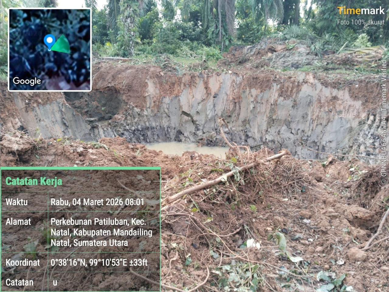 Skandal PETI di PT PSU di Kebun Madina, Aktivitas Terkesan Terorganisir, Pejabat Sumut Masih Bungkam