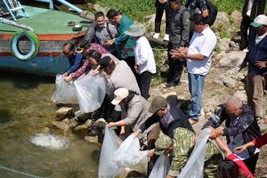 Jaga Ekosistem Danau Toba, Bupati Samosir bersama Yayasan Pusuk Buhit Tebar 1.000 Bibit Ikan dan Tanam 1.000 Pohon