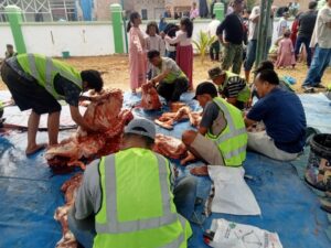 Panitia Qurban Masjid At Taqwa Sembelih 9 Ekor Lembu dan 6 Ekor Kambing, 800 Kupon Daging Dibagikan