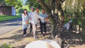 Hari Raya Idul Adha 1447 H, Polres Binjai Sembelih 7 Sapi dan 3 Kambing