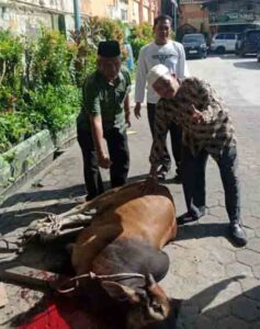 Momentum Idul Adha 1447 H, MIN 1 Medan Sembelih 2 Sapi dan 5 Kambing