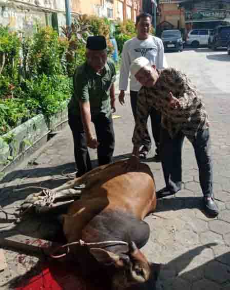 Momentum Idul Adha 1447 H, MIN 1 Medan Sembelih 2 Sapi dan 5 Kambing
