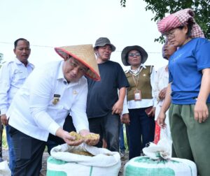 Taksi Alsintan Permudah Petani, Bupati Samosir Vandiko T. Gultom Turun Langsung Panen Padi Bersama Masyarakat