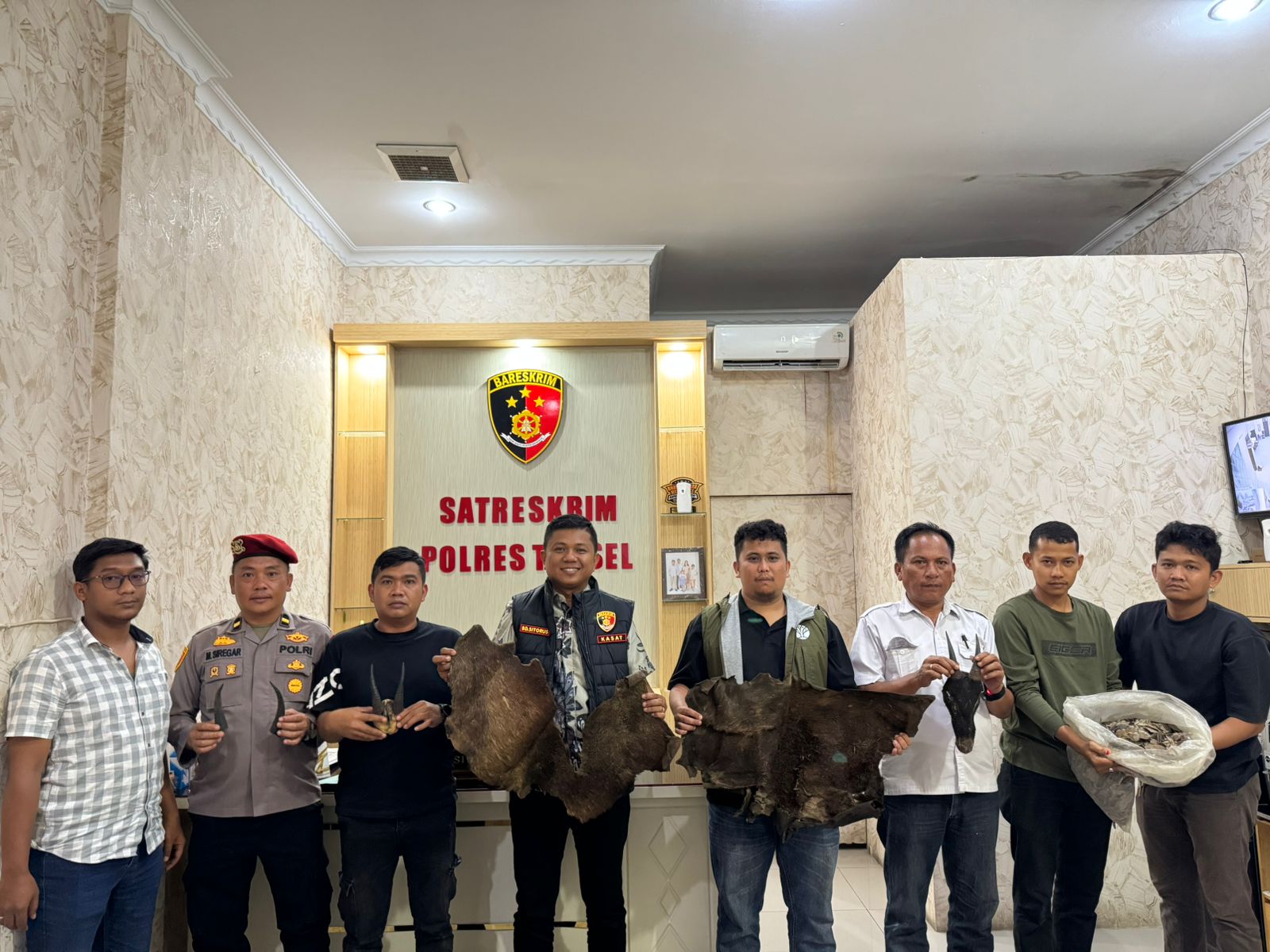 Perdagangan Ilegal Satwa Dilindungi Digagalkan di Sipirok, Polisi Amankan Sisik Trenggiling hingga Kulit Kijang