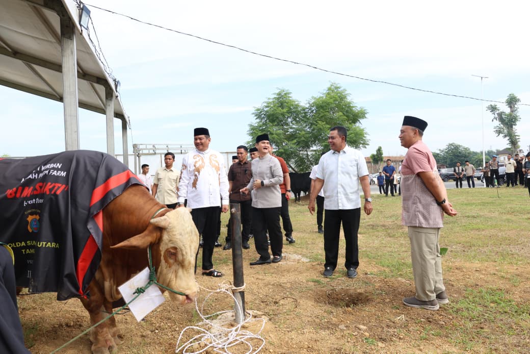 Idul Adha 1447 H, Polda Sumut Sembelih 31 Ekor Sapi,Hewan Kurban Kapolda Berbobot 1 Ton