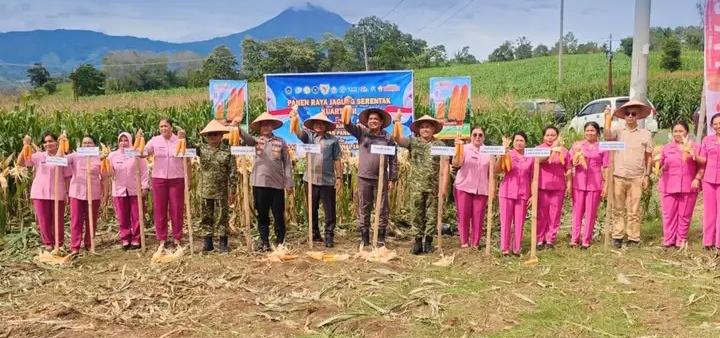 Wakil Bupati Karo Hadiri Panen Raya Jagung Serentak Dukung Swasembada Pangan Tahun 2026