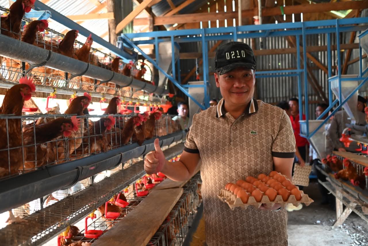 Bupati Humbahas Tinjau Peternakan Ayam Petelur Milik BUMDes Siponjot