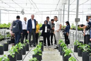 Pemkab Samosir Dukung Penguatan Investasi Internasional untuk Pengembangan TSTH2