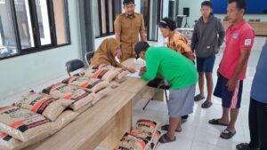 Dukung Produktivitas Pertanian dan Ketahanan Pangan, Pemdes Kalangbret Bagikan Benih Padi