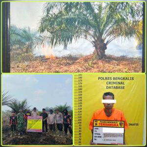 Pengembangan Kasus Karhutla, Polisi Tetapkan Warga Pangkalan Libut sebagai Tersangka Dugaan Kuasai Kawasan Hutan Tanpa Izin
