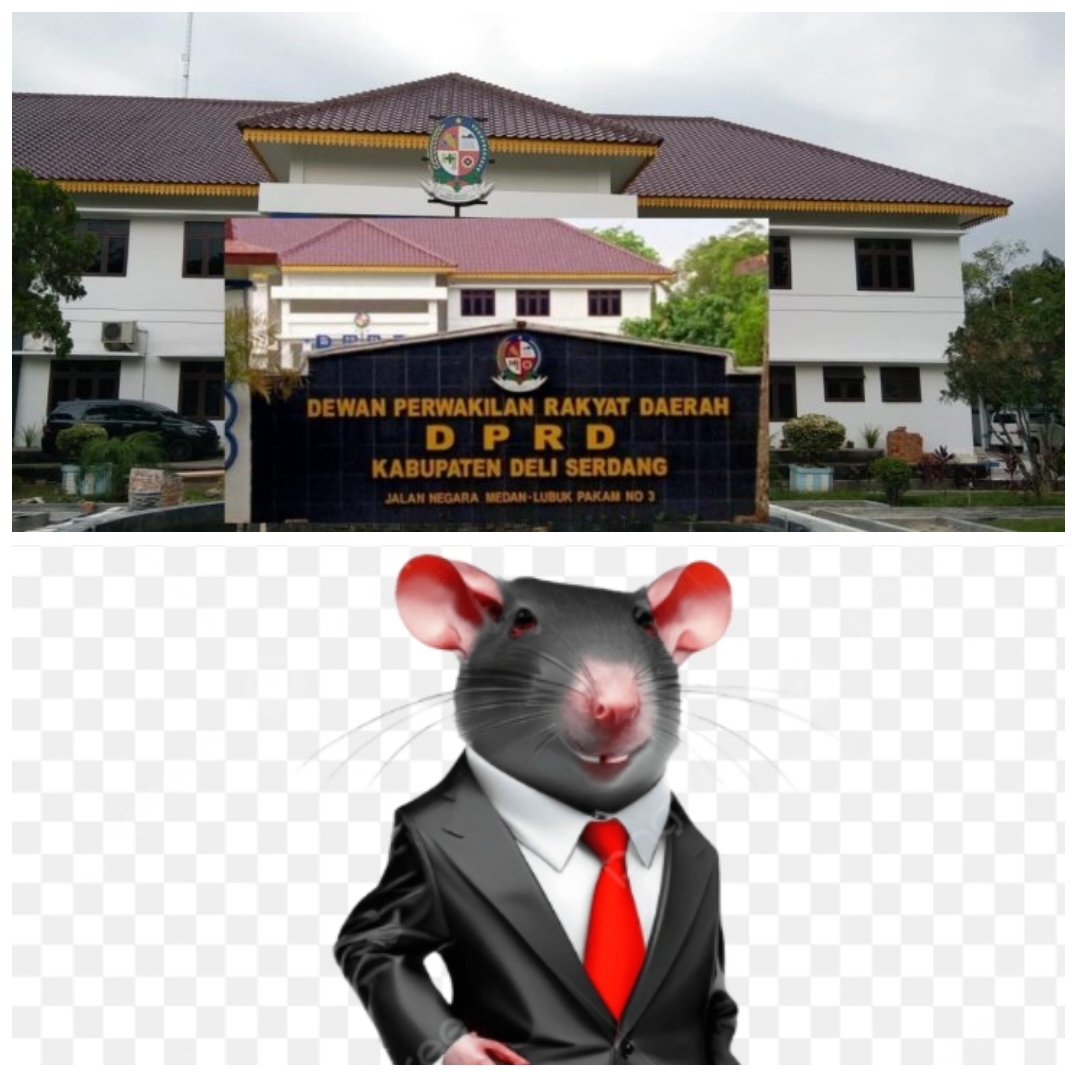 KPK harus Tangkap Oknum Anggota DPRD Deli Serdang yang Begal Proyek, Aksi Heroik Bupati Coret paket legislatif berbuah P APBD  Terlambat Di sahkan 