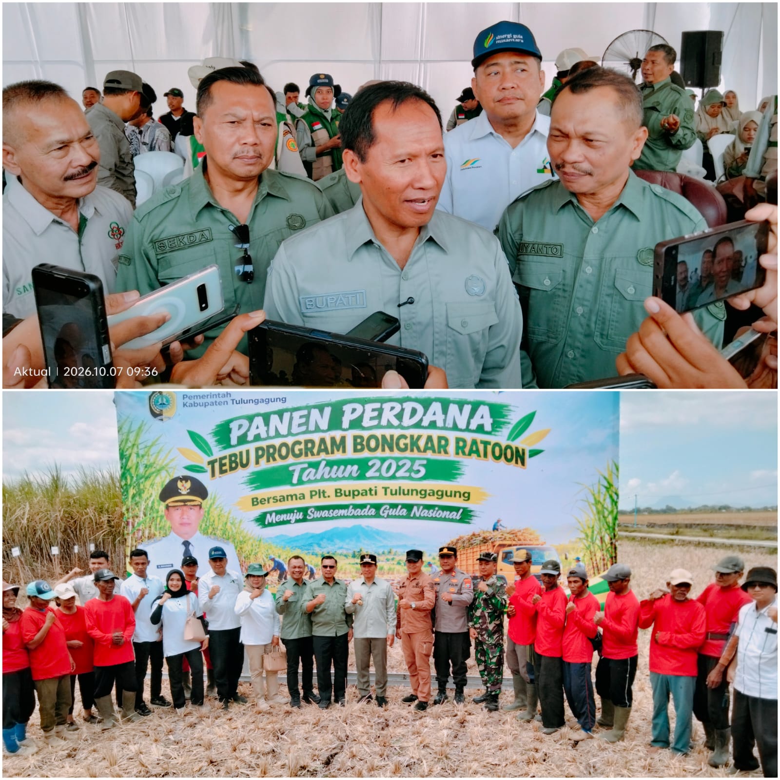 Panen Perdana Bongkar Ratoon Warnai Hari Tani Nasional di Tulungagung