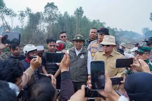 Sanksi Berat Jerat Pembakar Lahan, Kemenhut Siap Matikan Izin Perusahaan Nakal